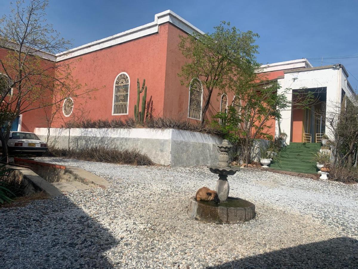 Jardin Etnobotanico Villa Ludovica 圣玛尔塔 外观 照片