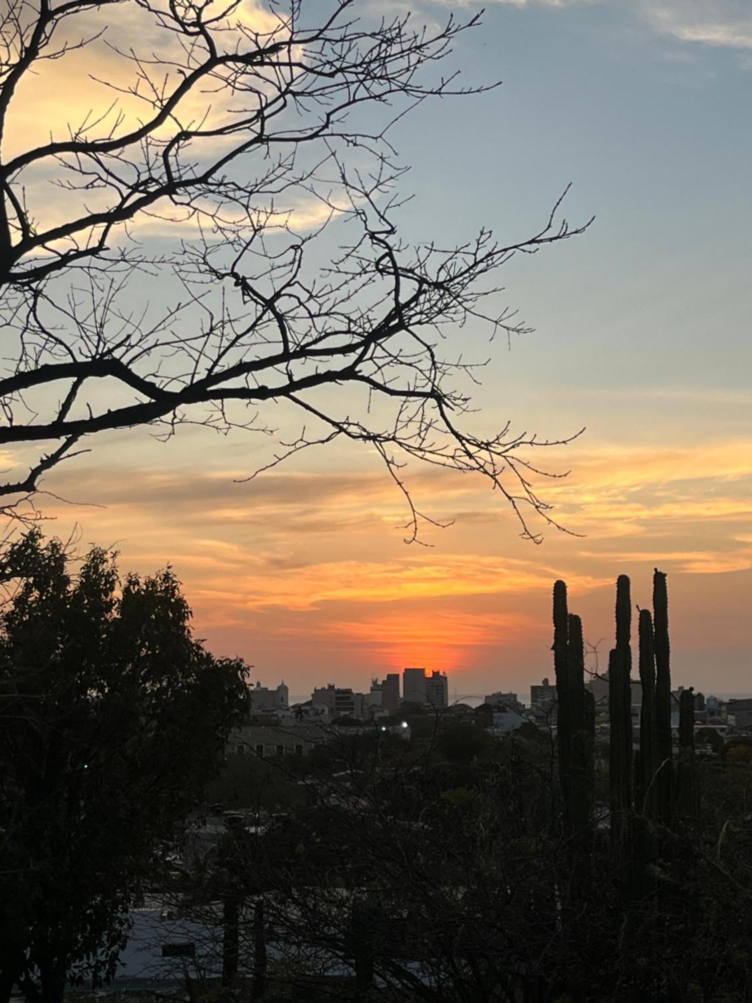 Jardin Etnobotanico Villa Ludovica 圣玛尔塔 外观 照片