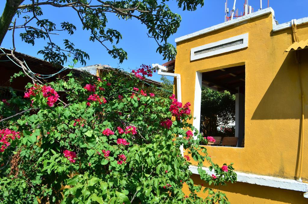 Jardin Etnobotanico Villa Ludovica 圣玛尔塔 客房 照片