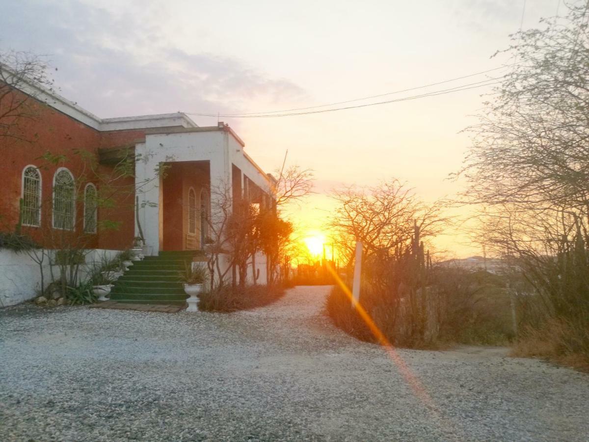 Jardin Etnobotanico Villa Ludovica 圣玛尔塔 外观 照片