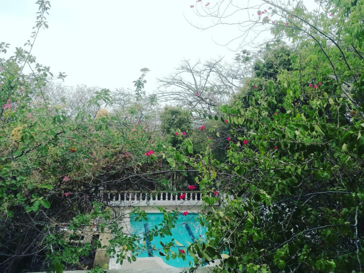 Jardin Etnobotanico Villa Ludovica 圣玛尔塔 外观 照片