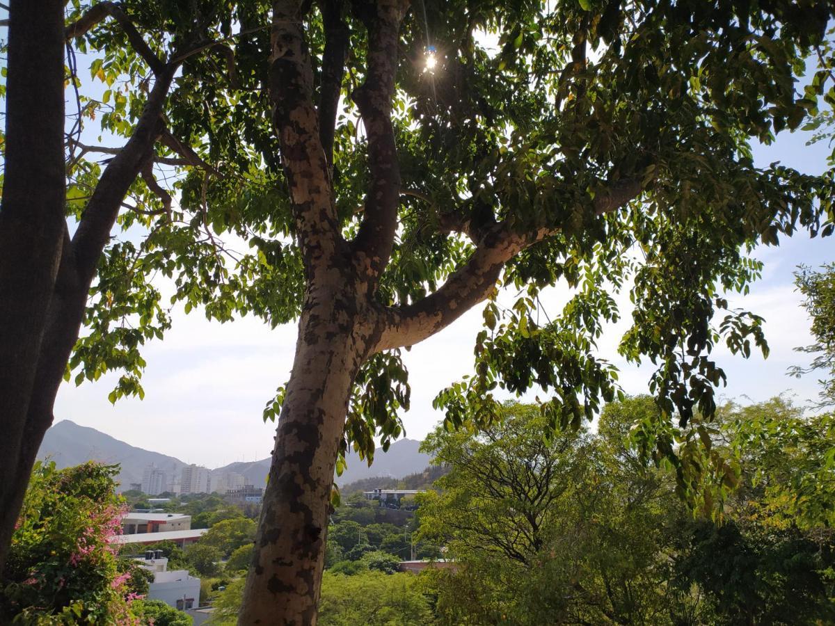 Jardin Etnobotanico Villa Ludovica 圣玛尔塔 外观 照片