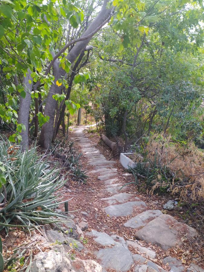 Jardin Etnobotanico Villa Ludovica 圣玛尔塔 外观 照片