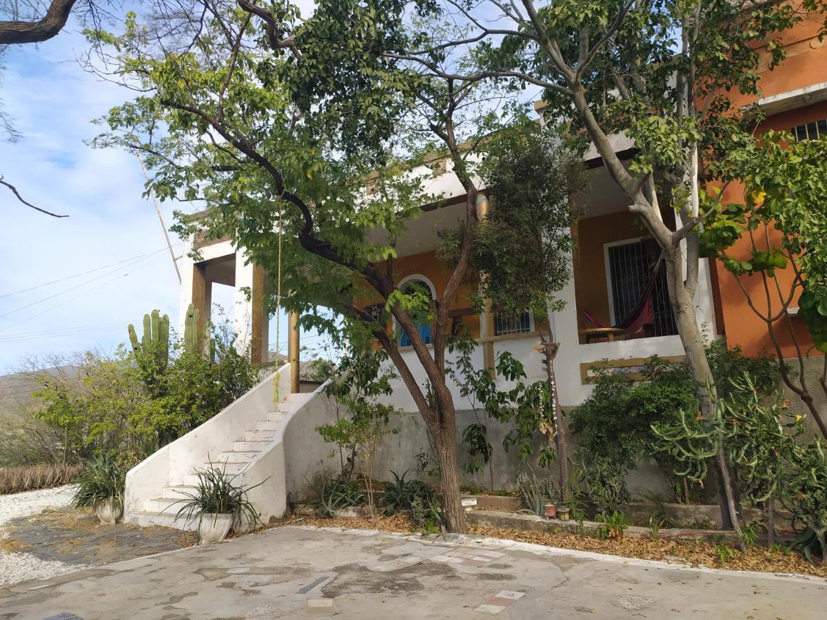 Jardin Etnobotanico Villa Ludovica 圣玛尔塔 外观 照片